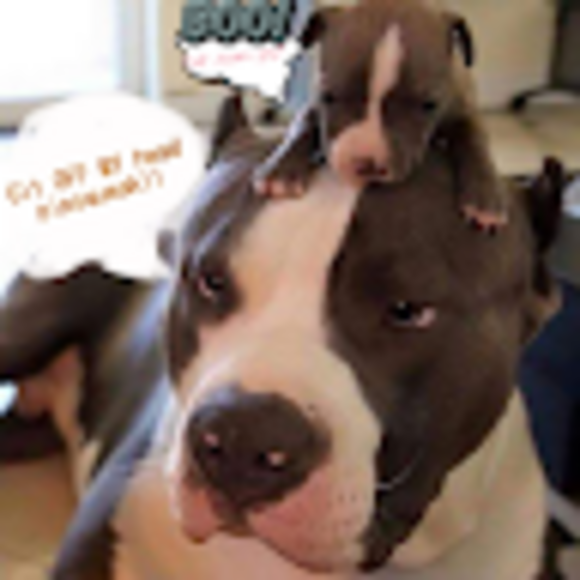 jaimusbarrett